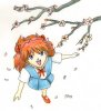 Sakura